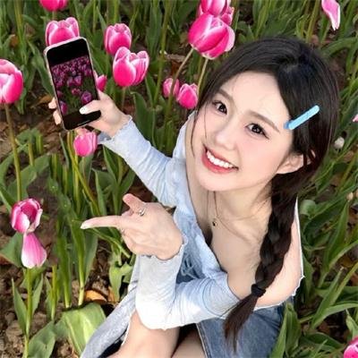 飞贼白菊花